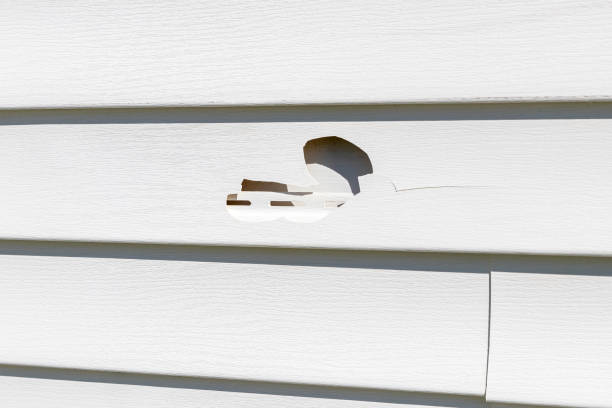 Best Demolition Debris Removal  in Belleair Beach, FL